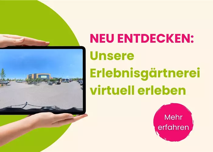 Virtueller Rundgang