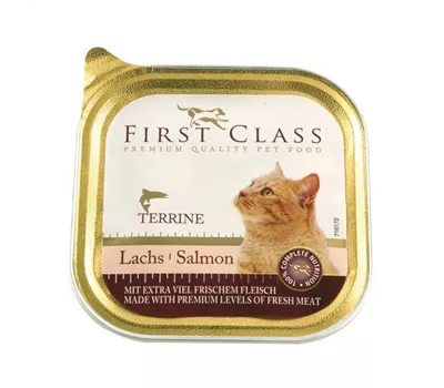 First Class Katzenschale Lachs