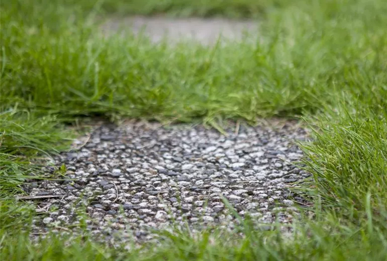 Wege im Garten